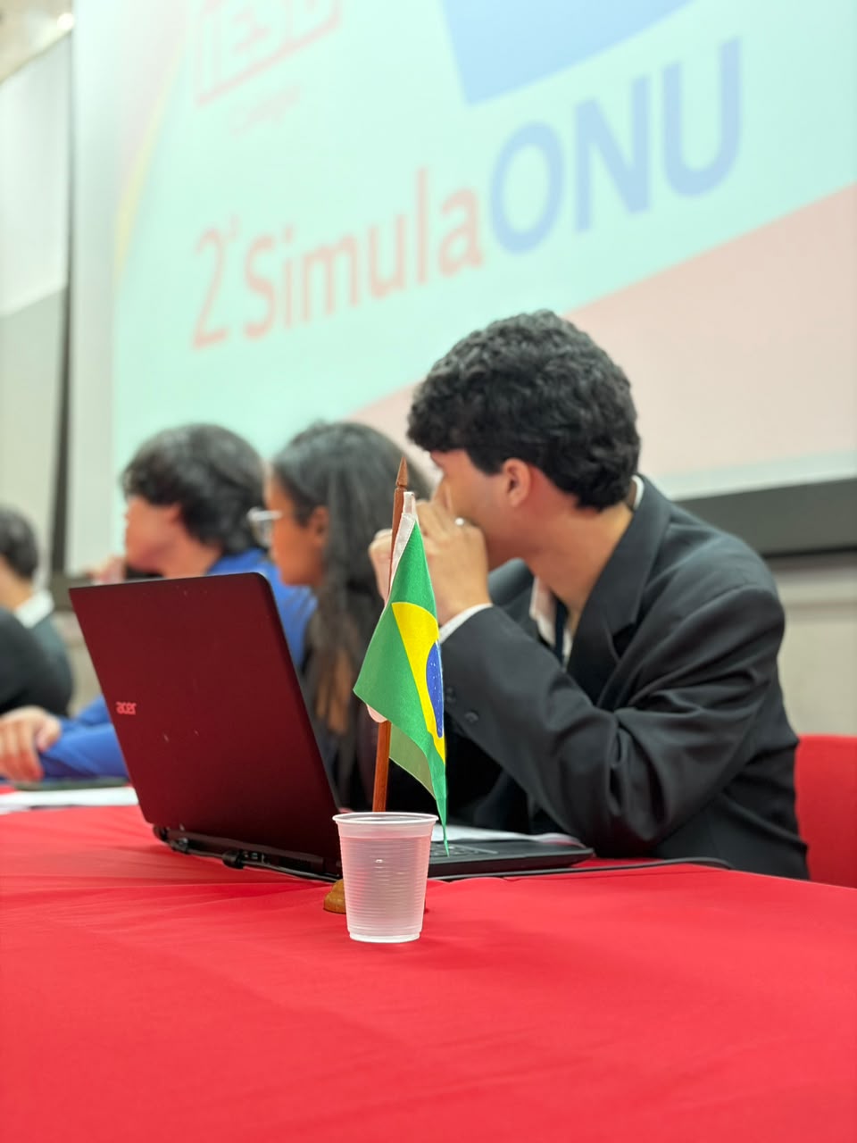Simulação da ONU